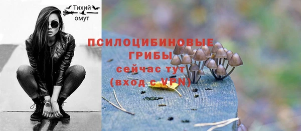 прущая мука Кулебаки