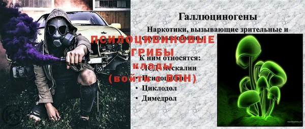 МДПВ Кукмор